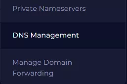 Domain_DNSManagement.webp