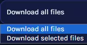 SPT_DownloadAllFiles.webp