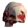 Abiotic_HumanSkull.webp