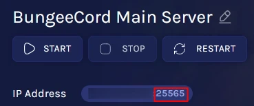 Minecraft_BungeeCord_MainPort.webp