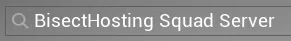 Squad_ServerNameInput.webp