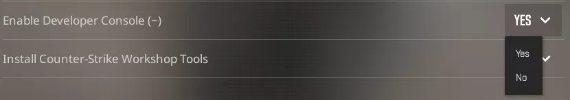 CS2_EnableConsole.webp