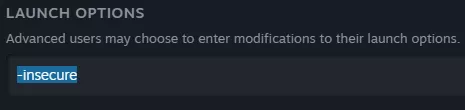 CS2_LaunchOptionsInsecure.webp