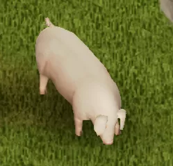 PZ_Pig.webp