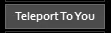 PZ_GameAdminTeleportYou.webp