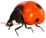 Smalland_Ladybug.webp