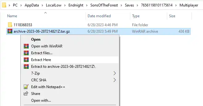 SotF_LocalSaveExtract.webp