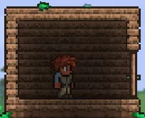 Terraria_NPCHouse_WoodWalls.webp