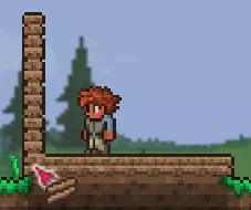Terraria_NPCHouse_Build5Wood.webp
