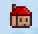 Terraria_NPCHouse_Housing.webp