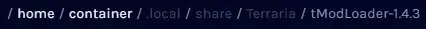 Terraria_tModDir.webp