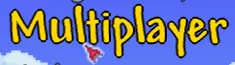 Terraria_Multiplayer.webp