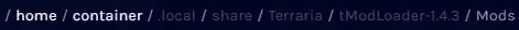 Terraria_Tmod_ModsDir.webp