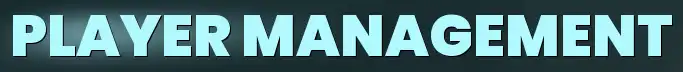 AF_GamePlayerManagement.webp