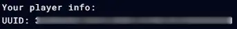 Hytale_UUIDConsoleInfo.webp