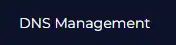 Domain_DomainsDNSManagement.webp