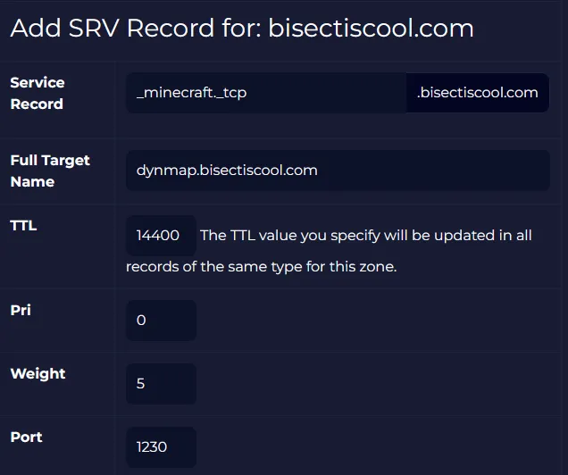 MC_ReverseProxy_Dynmap_SRVRecordsFields.webp