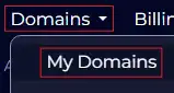Domain_DomainsMyDomain.webp