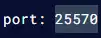 Minecraft_BlueMapPort.webp