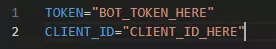 Discord_TokenAndClientID.webp