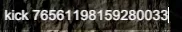 7D2D_KickCommand.webp