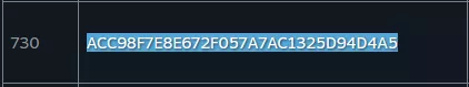 CS2_CopyServerToken.webp