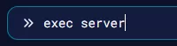 CS2_ExecServer.webp