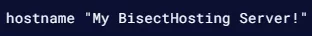 CS2_Hostname.webp