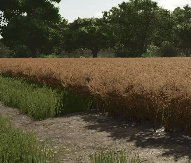 FS25_CropImage.webp