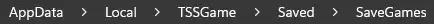 HumanitZ_LocalDirSaveGames.webp
