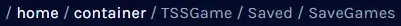 HumanitZ_DirSaveGames.webp