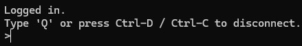 HumanitZ_RCONRemoteConnected.webp