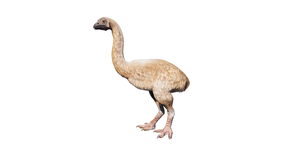 ICARUS_MountMoa.webp