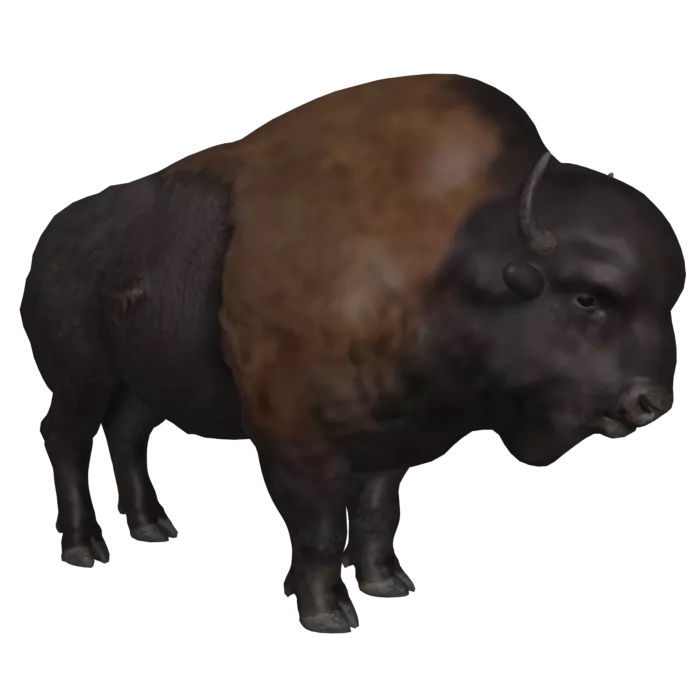 ICARUS_MountBuffalo.webp