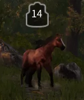 MOE_HorseLook.webp