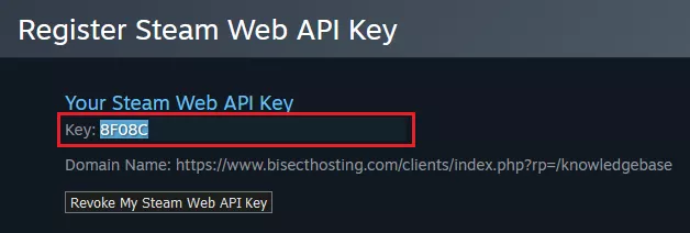 OHD_SteamAPIKeyCopy.webp
