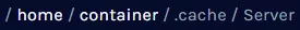 PZ_DirServer.webp