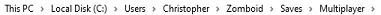 PZ_LocalDirMultiplayer.webp
