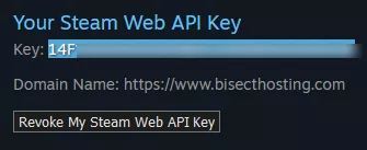 Raft_ApiKeyCopy.webp