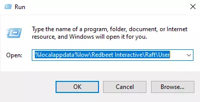 Raft_LocalRun.webp