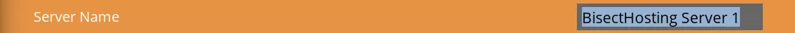 Satisfactory_GameServerName.webp