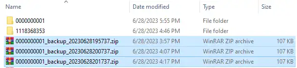 SotF_LocalBackupSaves.webp