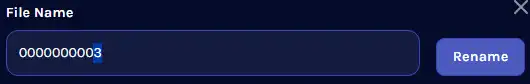 SotF_SaveSlot3Rename.webp