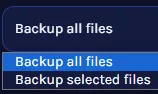 SPT_BackupConfig.webp