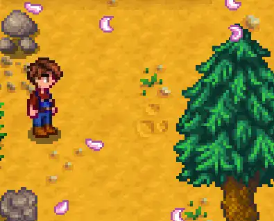 Stardew_Cabins_Location.webp