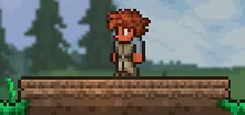 Terraria_NPCHouse_Place9Wood.webp