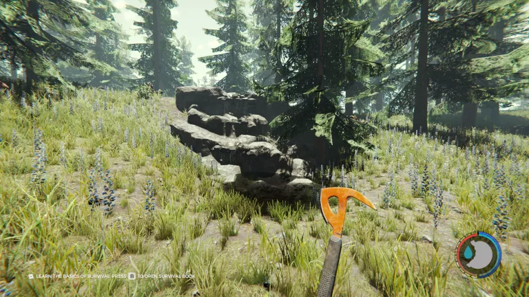 TheForest_SpringSinkhole.webp