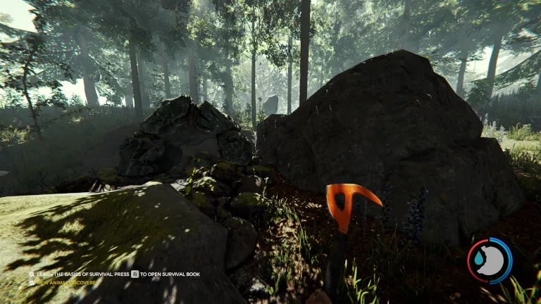 TheForest_ClimbEntrance.webp