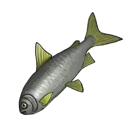 VRising_TheFish.webp