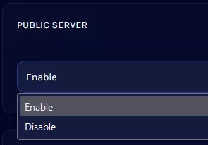 Valheim_PublicServer.webp